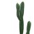Διακοσμητικό φυτό Cactus I σε γλάστρα Inart πράσινο pp Υ155εκ |  Λουλούδια στο espiti