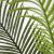 PALM TREE  NP5501_210_22  ΥΨΟΣ 210cm NewPlan - NewPlan |  Λουλούδια στο espiti