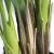 PALM TREE  NP5502_180_22   ΥΨΟΣ 180cm NewPlan - NewPlan |  Λουλούδια στο espiti