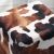 Σκαμπώ Milky Megapap υφασμάτινο χρώμα καφέ - λευκό 40x40x40εκ. |  Σκαμπώ στο espiti