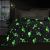 Beauty Home Κουβερτοπάπλωμα μονό φωσφοριζέ Glow Art 6268 160x220 Σιέλ       |  Παπλώματα Παιδικά στο espiti