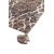 Χαλί Terra 4978 39 Royal Carpet - 154 x 154 cm |  Χαλιά Σαλονιού  στο espiti