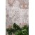 Χαλί Sangria 9448B Royal Carpet - 170 x 240 cm |  Χαλιά Σαλονιού  στο espiti