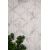 Χαλί Tokyo 74A L.GREY Royal Carpet - 160 x 230 cm |  Χαλιά Σαλονιού  στο espiti