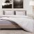 Beauty Home Σετ σεντόνια μονά Champagne Art 12060 170x260 Εμπριμέ       |  Σεντόνια Μονά / Ημίδιπλα στο espiti