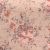 ΣΕΝΤΟΝΙ (ΣΕΤ 2 ΤΕΜ.) 120Χ200+30 PEONIA ROSE WINTER LINE MINI ΚΑΤΩΣΕΝΤΟΝΟ ΗΜΙΔΙΠΛΟ (Λ) 120Χ200+30cm + 53X72cm MELINEN |  Σεντόνια Υπέρδιπλα / King Size στο espiti
