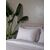 Σετ Σεντόνια Cotton Feelings 2044 Beige Μονό (165x270) Sunshinehome |  Σεντόνια Μονά / Ημίδιπλα στο espiti