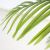 PALM TREE  NP0063_120  ΥΨΟΣ 120cm NewPlan - NewPlan |  Λουλούδια στο espiti