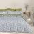 DAS HOME ΣΕΤ ΣΕΝΤΟΝΙΑ KING HAPPY 9670 IVORY, OLIVE |  Σεντόνια Υπέρδιπλα / King Size στο espiti