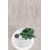 Χαλί Prime 022 L.GREY Royal Carpet - 200 x 300 cm |  Χαλιά Σαλονιού  στο espiti