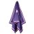 GREENWICH POLO CLUB ΠΕΤΣΕΤΑ ΘΑΛΑΣΣΗΣ 80Χ170 4029 PINK, PURPLE |  Πετσέτες Θαλάσσης στο espiti