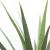 AGAVE TREE  NP802_160  ΥΨΟΣ 160cm NewPlan - NewPlan |  Λουλούδια στο espiti