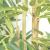 BAMBOO  NP824_153  ΥΨΟΣ 153cm NewPlan - NewPlan |  Φυτά συνθετικά - Λουλούδια στο espiti