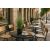 ONION GRASS TREE  NP1009_60 ΥΨΟΣ 60cm NewPlan - NewPlan |  Λουλούδια στο espiti