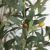 OLIVE TREE NP439_150  ΥΨΟΣ 150cm NewPlan - NewPlan |  Λουλούδια στο espiti