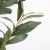 OLIVE TREE NP439_150  ΥΨΟΣ 150cm NewPlan - NewPlan |  Λουλούδια στο espiti