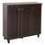 ΠΑΠΟΥΤΣΟΘΗΚΗ-ΝΤΟΥΛΑΠΑ PROLLY HM9609.01 ΜΕΛΑΜΙΝΗ WENGE-3ΠΟΡΤΕΣ-4ΡΑΦΙΑ 87x32x88Υεκ. |  Παπουτσοθήκες στο espiti