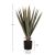 ΔΙΑΚΟΣΜΗΤΙΚΟ ΣΥΝΘΕΤΙΚΟ ΦΥΤΟ HM7985 SISAL AGAVE ΣΕ ΓΛΑΣΤΡΑ  Φ13,5x13-76Υεκ. |  Λουλούδια στο espiti