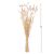 ΔΙΑΚΟΣΜΗΤΙΚΟ ΜΠΟΥΚΕΤΟ ΑΠΟΞΗΡΑΜΕΝΟ HM7959 RABBIT TAIL- CREAM 50gr 76Υεκ. |  Λουλούδια στο espiti