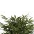 ΔΙΑΚΟΣΜΗΤΙΚΟ ΣΥΝΘΕΤΙΚΟ ΦΥΤΟ HM4004 BAMBOO ΣΕ ΓΛΑΣΤΡΑ 180Υεκ. |  Λουλούδια στο espiti