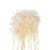 Beauty Home MINI ΓΥΨΟΦΙΛΗ 20 ΤΜΧ 5 CM       |  Φυτά συνθετικά - Λουλούδια στο espiti