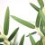 BAMBOO IN POT NP827_180_UV  ΥΨΟΣ 180cm NewPlan - NewPlan |  Λουλούδια στο espiti