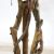 FICUS TREE NP5209_180  ΥΨΟΣ 180cm NewPlan - NewPlan |  Λουλούδια στο espiti