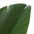 BIRD OF PARADISE  NP717_160  ΥΨΟΣ 160cm NewPlan - NewPlan |  Λουλούδια στο espiti