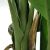 BANANA TREE NP018_280_22  ΥΨΟΣ 280cm NewPlan - NewPlan |  Λουλούδια στο espiti