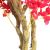 BOUGAINVILLEA  NP0421_210  ΥΨΟΣ 210cm NewPlan - NewPlan |  Λουλούδια στο espiti