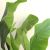 BANANA TREE NP707_240  ΥΨΟΣ 240cm NewPlan - NewPlan |  Λουλούδια στο espiti