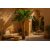 BANANA TREE NP707_240  ΥΨΟΣ 240cm NewPlan - NewPlan |  Λουλούδια στο espiti