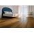 ΠΛΑΣΤΙΚΟ ΔΑΠΕΔΟ ATLANTIC 262M GOLDEN OAK 3M NewPlan - NewPlan |  Πλαστικά Δάπεδα  στο espiti