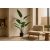 BANANA TREE NP1411_160  ΥΨΟΣ 160cm NewPlan - NewPlan |  Λουλούδια στο espiti BANANA TREE NP1411_160  ΥΨΟΣ 160cm NewPlan - NewPlan |  Λουλούδια στο espiti
