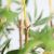BAMBOO IN POT NP827_180_UV  ΥΨΟΣ 180cm NewPlan - NewPlan |  Λουλούδια στο espiti