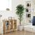 FICUS TREE NP0081_210   ΥΨΟΣ 210cm NewPlan - NewPlan |  Φυτά συνθετικά - Λουλούδια στο espiti
