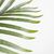 PALM TREE  NP0266_140 ΥΨΟΣ 140cm NewPlan - NewPlan |  Φυτά συνθετικά - Λουλούδια στο espiti