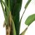 BANANA TREE NP014_120_22  ΥΨΟΣ 120cm NewPlan - NewPlan |  Λουλούδια στο espiti