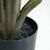 BANANA TREE NP1411_160  ΥΨΟΣ 160cm NewPlan - NewPlan |  Φυτά συνθετικά - Λουλούδια στο espiti