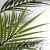 PALM TREE  NP160_210_UV  ΥΨΟΣ 210cm NewPlan - NewPlan |  Λουλούδια στο espiti