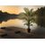 PALM TREE  NP160_210_UV  ΥΨΟΣ 210cm NewPlan - NewPlan |  Φυτά συνθετικά - Λουλούδια στο espiti