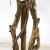 FICUS TREE NP5209_180  ΥΨΟΣ 180cm NewPlan - NewPlan |  Φυτά συνθετικά - Λουλούδια στο espiti