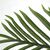 PALM TREE  NP5502_180_22   ΥΨΟΣ 180cm NewPlan - NewPlan |  Φυτά συνθετικά - Λουλούδια στο espiti