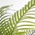 PALM TREE  NP5506_180_22  ΥΨΟΣ 180cm NewPlan - NewPlan |  Λουλούδια στο espiti