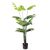 MONSTERA  NP6314_155_22   ΥΨΟΣ 155cm NewPlan - NewPlan |  Φυτά συνθετικά - Λουλούδια στο espiti