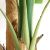 BANANA TREE NP708_220  ΥΨΟΣ 220cm NewPlan - NewPlan |  Λουλούδια στο espiti