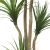 DRACAENA  NP_28_155  ΥΨΟΣ 155cm NewPlan - NewPlan |  Λουλούδια στο espiti DRACAENA  NP_28_155  ΥΨΟΣ 155cm NewPlan - NewPlan |  Λουλούδια στο espiti