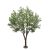 OLIVE TREE NP496_240_UV ΥΨΟΣ 240cm NewPlan - NewPlan |  Λουλούδια στο espiti