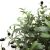 OLIVE TREE NP5807_150_22_UV ΥΨΟΣ 150cm NewPlan - NewPlan |  Λουλούδια στο espiti