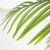 PALM TREE  NP5500_240_22 ΥΨΟΣ 240cm NewPlan - NewPlan |  Φυτά συνθετικά - Λουλούδια στο espiti